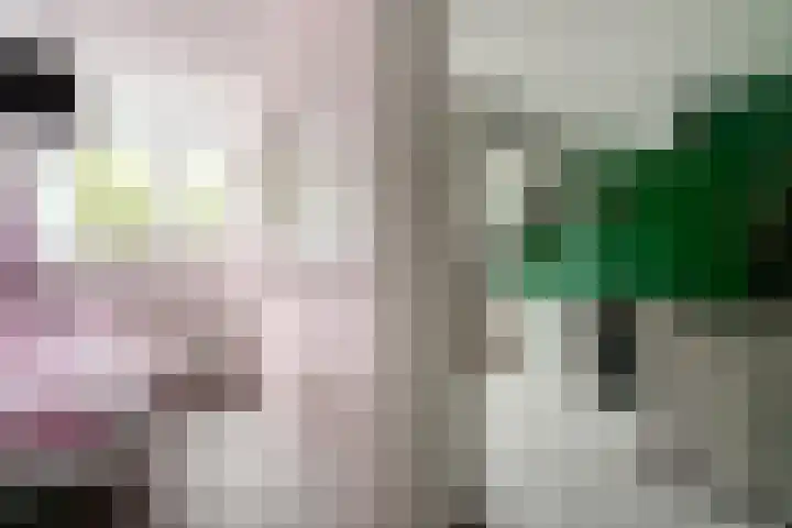 Wissenkerkepad 40 Arnhem thumbnail 34