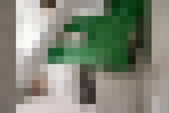 Wissenkerkepad 40 Arnhem thumbnail 35