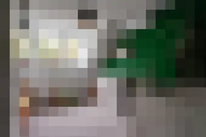 Wissenkerkepad 40 Arnhem thumbnail 36