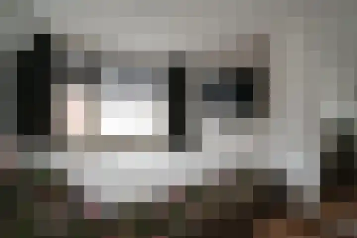 Wissenkerkepad 40 Arnhem thumbnail 43