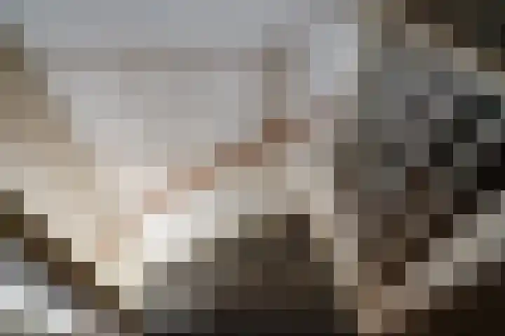 Wissenkerkepad 40 Arnhem thumbnail 47