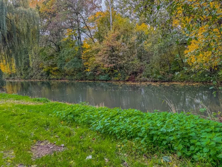 Wissenkerkepad 40 Arnhem thumbnail 51