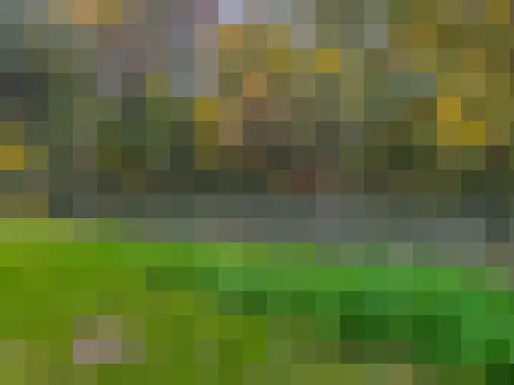 Wissenkerkepad 40 Arnhem thumbnail 51