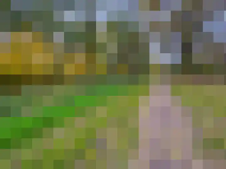 Wissenkerkepad 40 Arnhem thumbnail 52