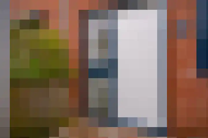 Wissenkerkepad 40 Arnhem thumbnail 8