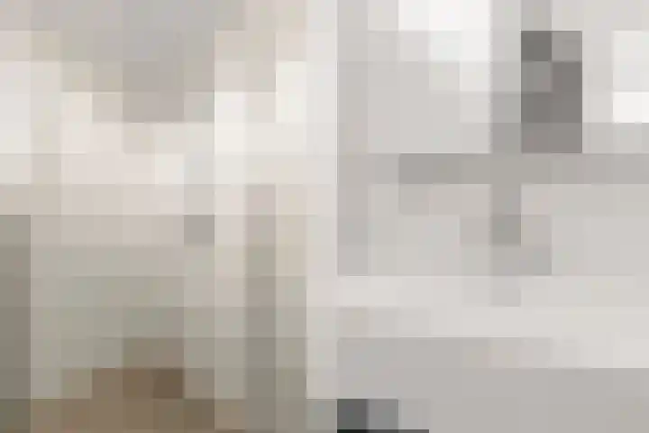 Wissenkerkepad 6 Arnhem thumbnail 19