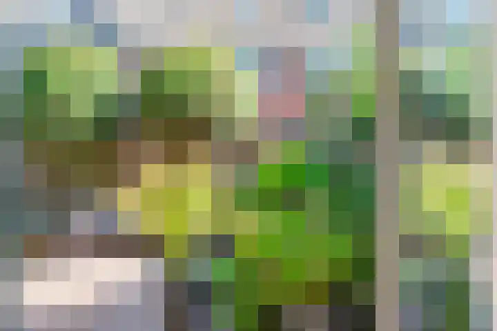 Wissenkerkepad 6 Arnhem thumbnail 25