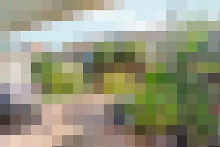 Wissenkerkepad 6 Arnhem thumbnail 26