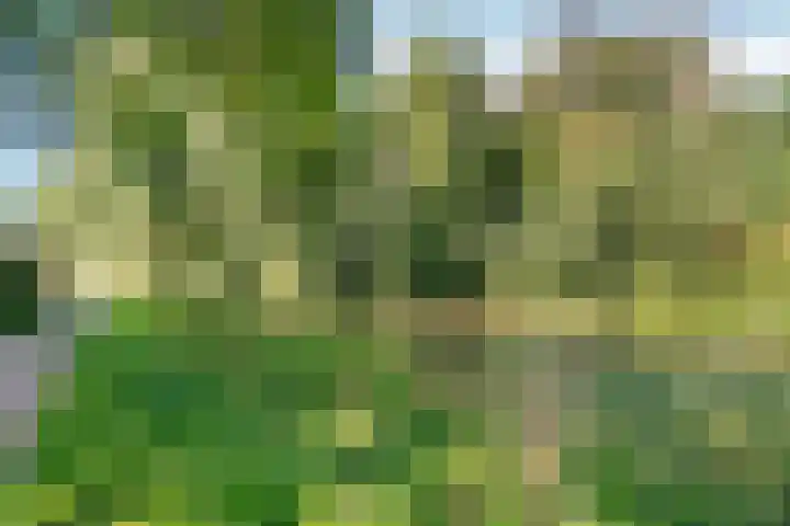 Wissenkerkepad 6 Arnhem thumbnail 31