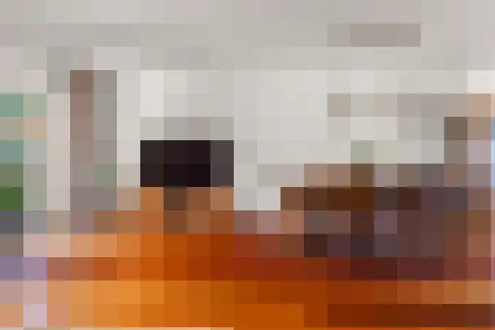 Wissenkerkepad 6 Arnhem thumbnail 8