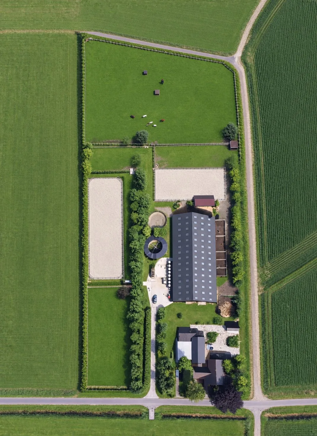 Wissenweg 12 Emmer-Compascuum thumbnail 7