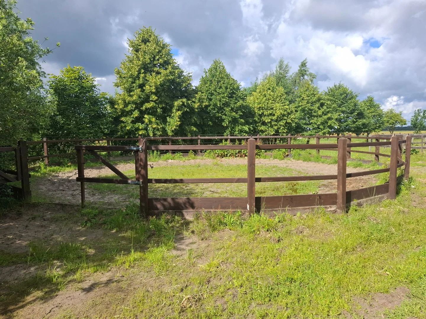 Wissenweg 12 Emmer-Compascuum thumbnail 77