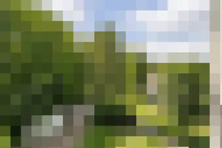 Wissesdwinger 47 Leeuwarden thumbnail 10