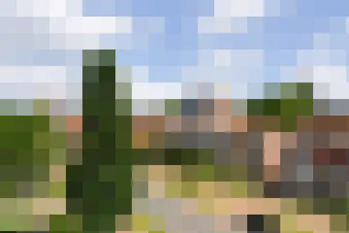 Wissesdwinger 47 Leeuwarden thumbnail 15