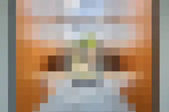 Wissesdwinger 47 Leeuwarden thumbnail 34
