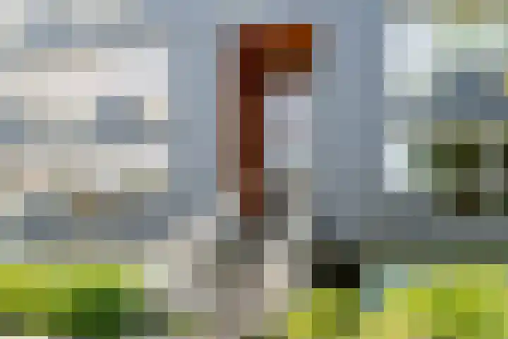 Wissesdwinger 47 Leeuwarden thumbnail 35