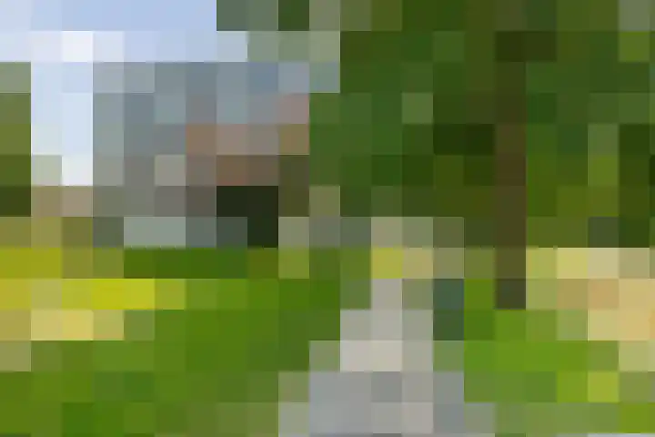 Wissesdwinger 47 Leeuwarden thumbnail 39
