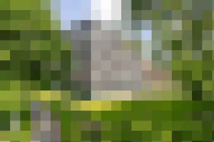 Wissesdwinger 47 Leeuwarden thumbnail 40
