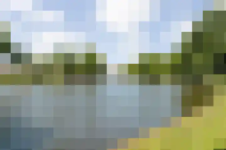 Wissesdwinger 47 Leeuwarden thumbnail 41