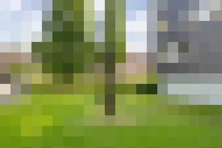 Wissesdwinger 47 Leeuwarden thumbnail 42