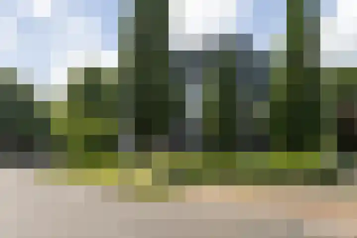 Wissesdwinger 47 Leeuwarden thumbnail 43
