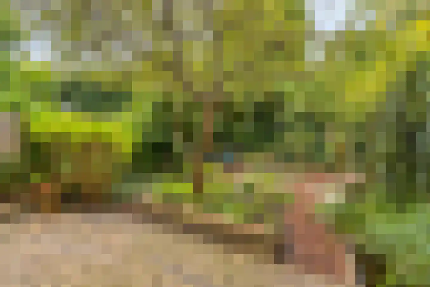 Wisseven 6 Castricum thumbnail 10