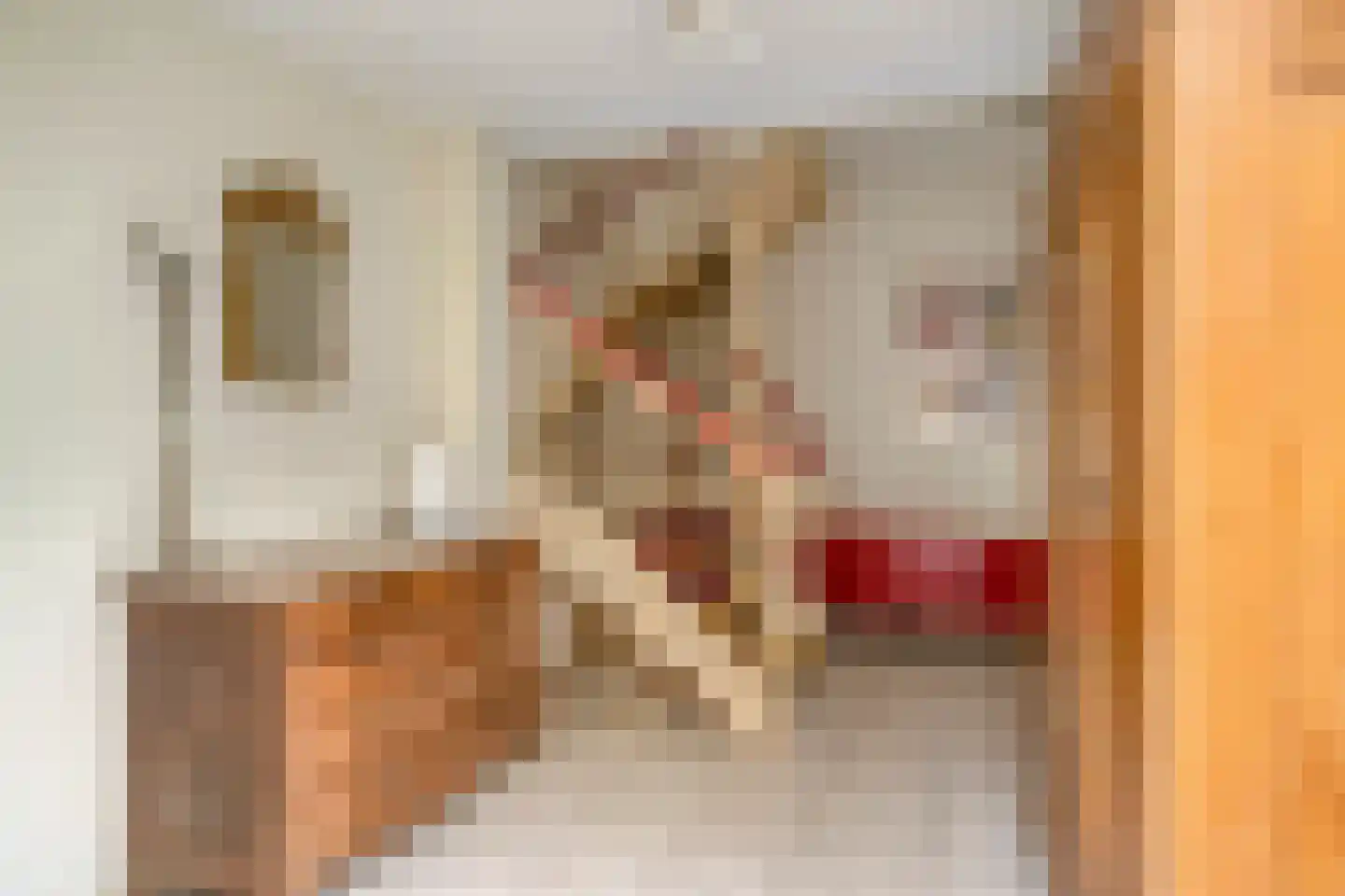 Wisseven 6 Castricum thumbnail 13