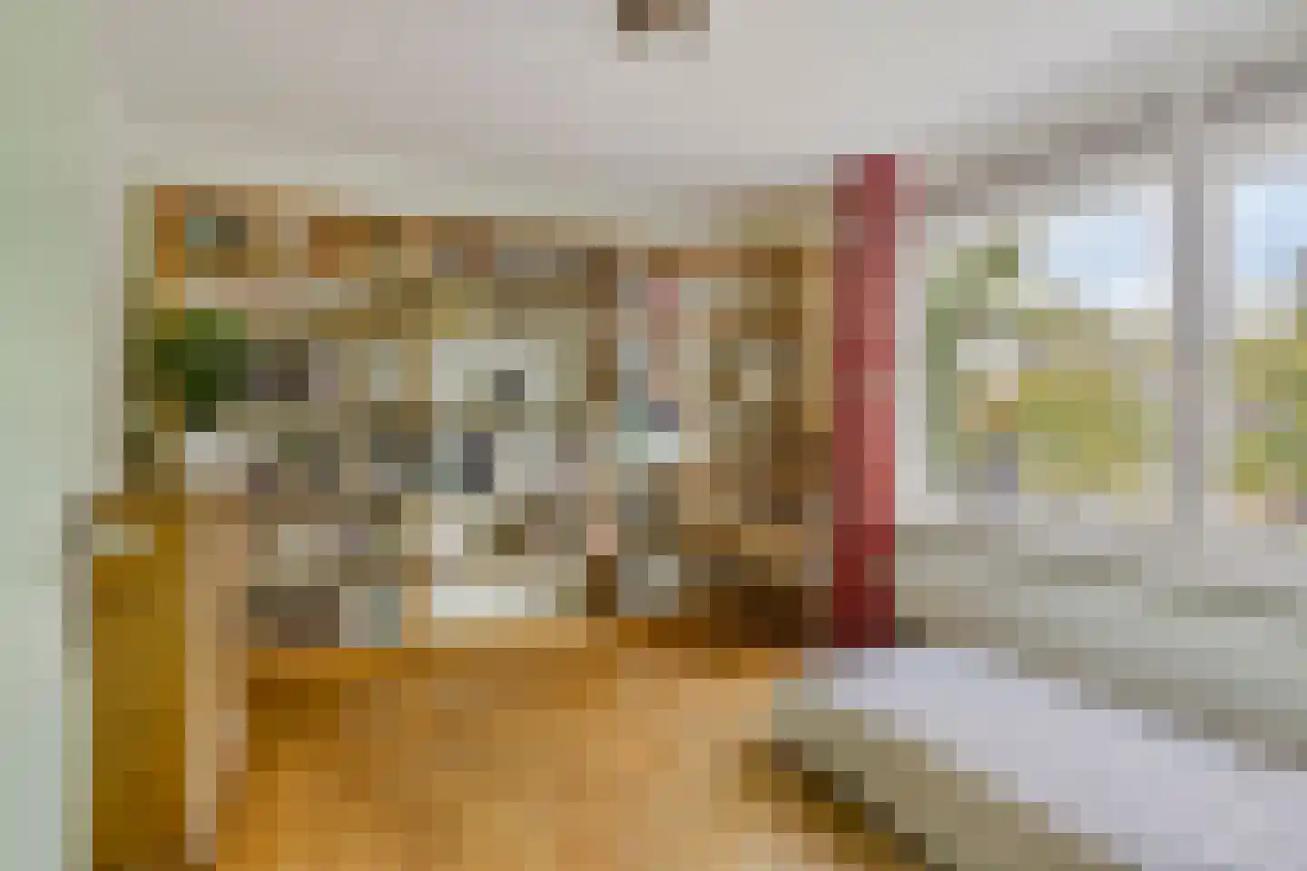 Wisseven 6 Castricum thumbnail 16