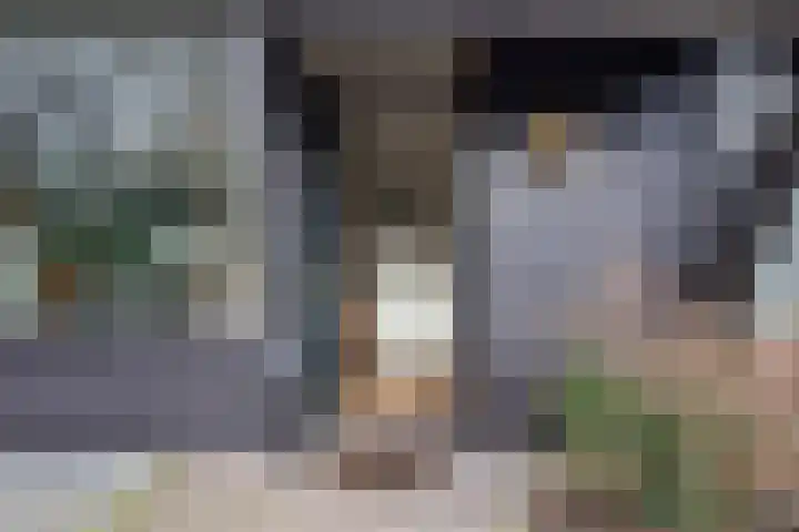 Wissingehof 23 Leek thumbnail 10