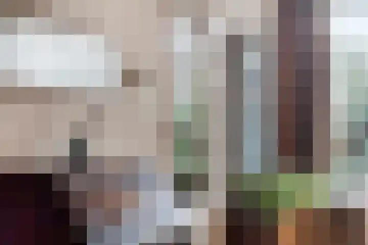Wissingehof 23 Leek thumbnail 16