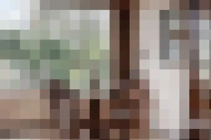 Wissingehof 23 Leek thumbnail 17