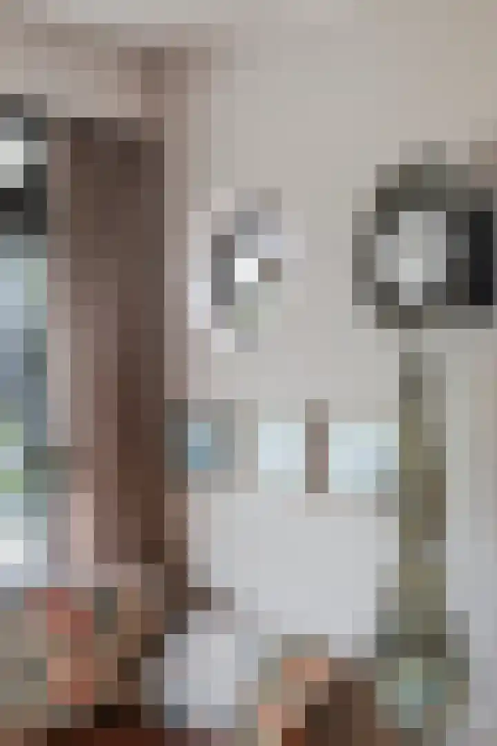 Wissingehof 23 Leek thumbnail 21