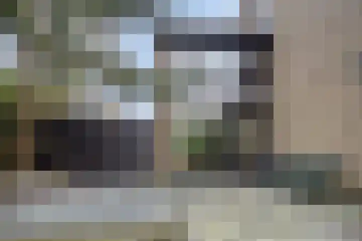 Wissingehof 23 Leek thumbnail 24