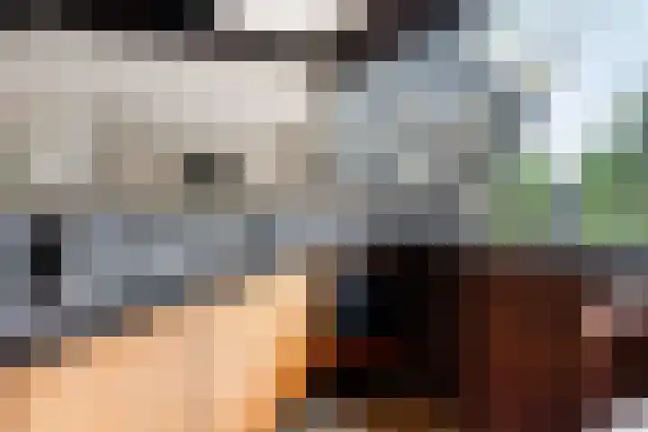 Wissingehof 23 Leek thumbnail 29