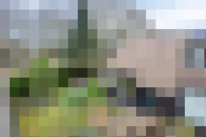 Wissingehof 23 Leek thumbnail 4