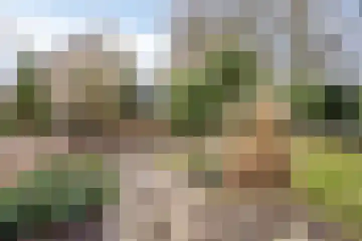 Wissingehof 23 Leek thumbnail 43