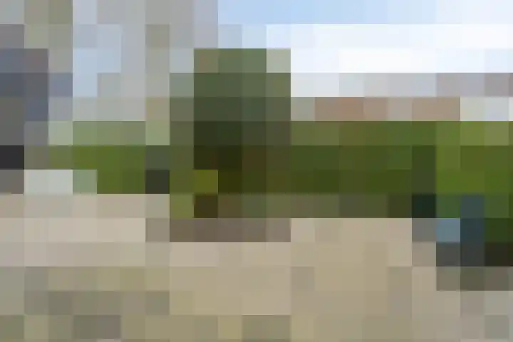 Wissingehof 23 Leek thumbnail 44
