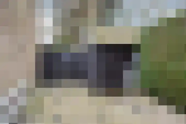 Wissingehof 23 Leek thumbnail 46