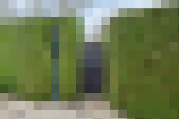 Wissingehof 23 Leek thumbnail 47