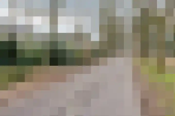 Wissingehof 23 Leek thumbnail 49