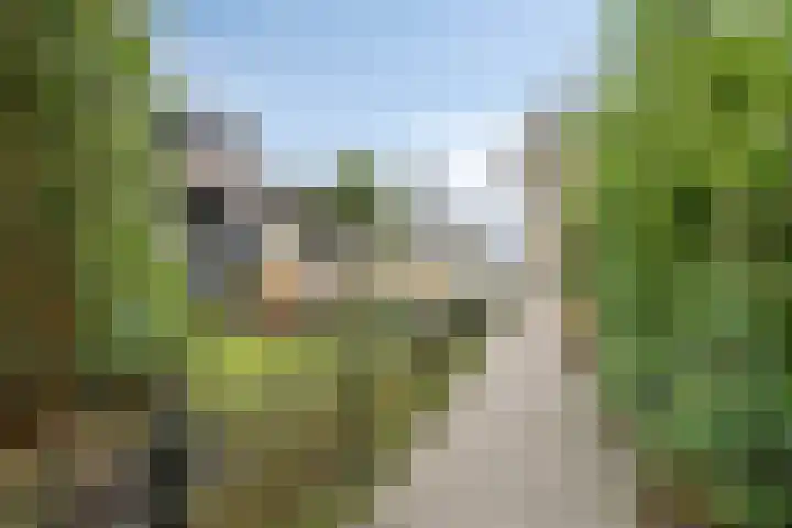 Wissingehof 23 Leek thumbnail 7