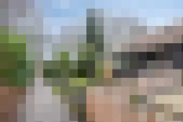 Wissingehof 23 Leek thumbnail 8