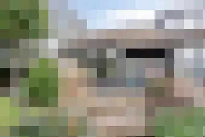 Wissingehof 23 Leek thumbnail 9