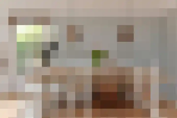 Wit-geellaan 13 Zoetermeer thumbnail 17