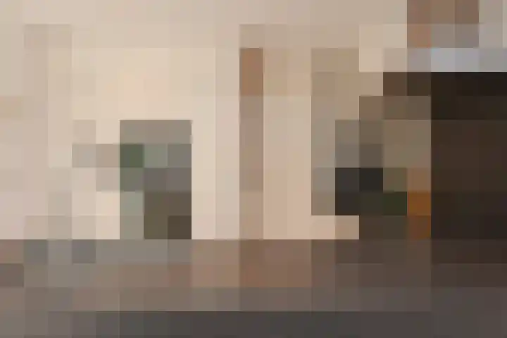 Wit-geellaan 13 Zoetermeer thumbnail 19