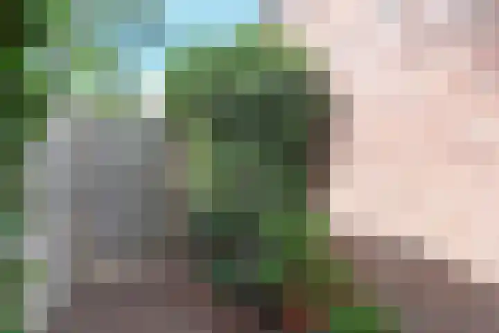 Wit-geellaan 13 Zoetermeer thumbnail 25