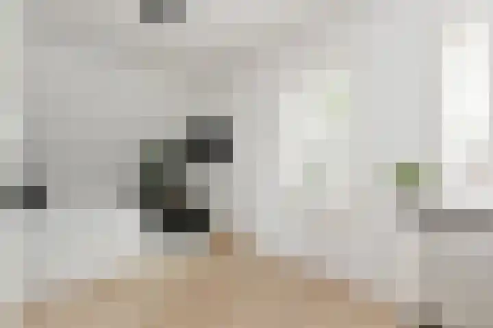 Wit-geellaan 13 Zoetermeer thumbnail 43