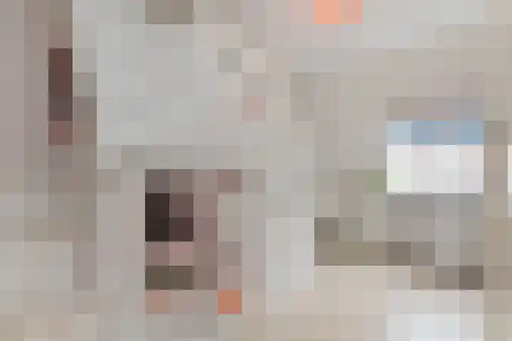 Wit-geellaan 13 Zoetermeer thumbnail 46