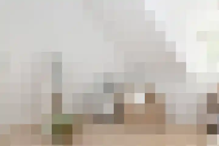 Wit-geellaan 13 Zoetermeer thumbnail 53