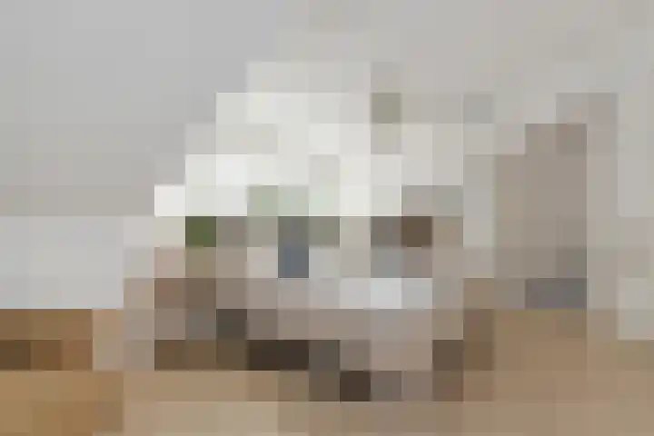 Wit-geellaan 13 Zoetermeer thumbnail 54